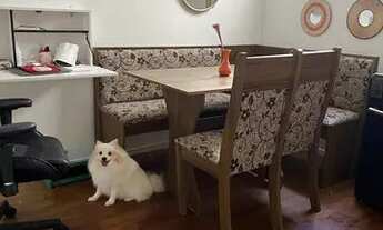 Imagem 2: Apartamento Apartamento com 1 dormitório