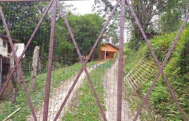 Imagem 2: Chácara com 2 dormitórios à venda, 6000 m² por R$ 300.000,00 - São João - São José dos Cam