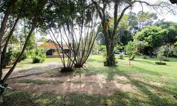 Imagem 6: Casa com 3 Quartos - Área com Piscina e Pomar Formado