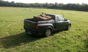 Imagem: Oportunidade Única Sítio 2hequitares