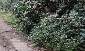 Imagem 7: Lote em Rua Marques - Quarta Divisão - Ribeirão Pires/SP