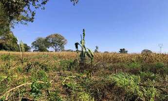 Imagem: Chácara à venda em Santa Terezinha de