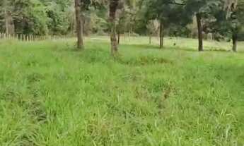 Imagem 6: Vende -se chácara de 2/70 alqueires, no município de Petrolina