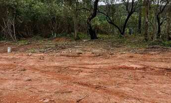 Imagem 6: Terreno com Espaço Amplo e Útil