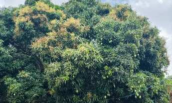 Imagem 7: Chácara Completa - R$ 590 - Plano 12h ou 24h