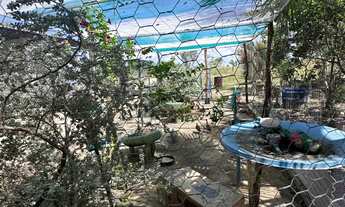 Imagem 5: Sitio no Bointento