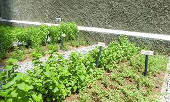 Imagem 2: Aluga-se Apt no Edf Villa Lobos