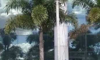 Imagem: Andar para aluguel, 500m², 10 vagas, VILA