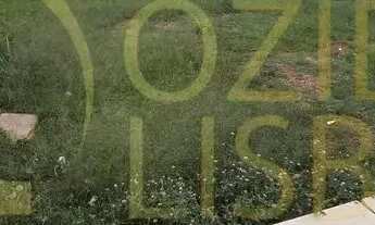 Imagem 7: LOTE 800m² NASCENTE 20m DE FRENTE 100% PLANO MURADO COM CASA SIMPLES CONDOMÍNIO RUA 10 VIC