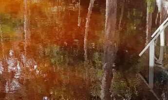 Imagem 2: Sitio Estrada Novo Airão km 44