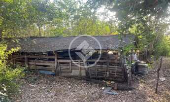 Imagem 7: Sitio com otima oportunidade de produtividade e lucratividade . codigo: 74117