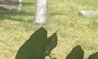 Imagem 6: Terreno a Venda Mooca