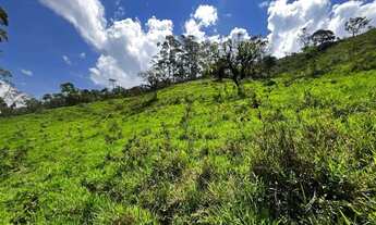 Imagem 3: Terreno à venda, 1516 m² por R$ 80.000,00 - Salinas - Nova Friburgo/RJ