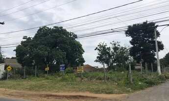 Imagem: Terreno Espaçoso para Alugar no Bairro