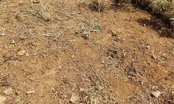 Imagem 4: Vendo lote em Vespasiano