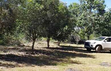 Imagem 2: Chácara serra da mesa