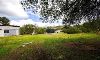 Imagem 3: Chácara 23.000M², Almirante Tamandaré