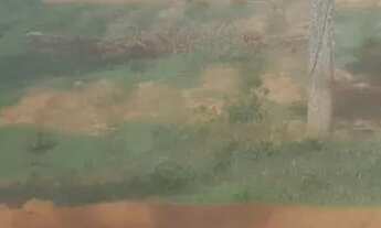 Imagem 5: Chacaras de mil metros em mateus leme