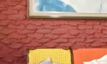 Imagem 5: Casa à venda em centro, piracicaba 3 quartos 215m²