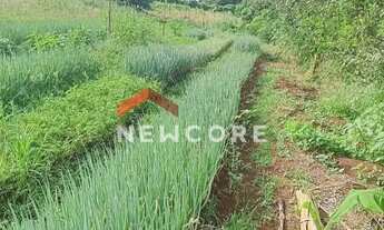 Imagem 5: Sítio em Cravinhos - Centro - Cravinhos/SP