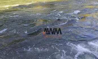 Imagem 6: Fazenda 23,5 Alqueires rica em água á venda por R$ 5.000.000 - Vila República - Goiás/GO