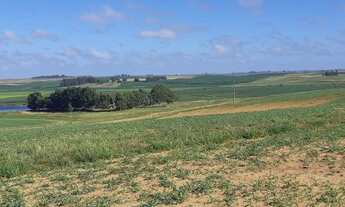 Imagem 2: Fazenda 1080 hec. à venda com casa 3 dormitórios cod:10211