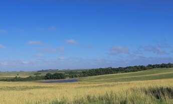 Imagem 5: Fazenda 1080 hec. à venda com casa 3 dormitórios cod:10211