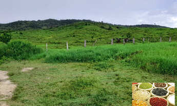 Imagem 4: FAZENDA À VENDA EM ANAPU - PA - DE 400 ALQUEIRÕES (Pecuária
