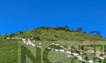 Imagem 2: Fazenda para Venda em Rio Bonito, CENTRO