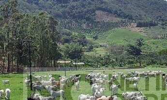 Imagem: Fazenda para Venda em Rio Bonito, CENTRO