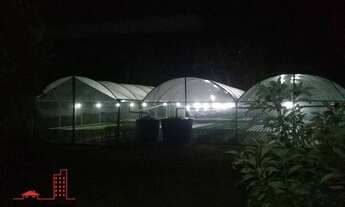 Imagem 3: Sítio 24.200 m² Hidroponia e Cultivo com 2 dormitórios à venda, 24200 m² por R$ 1.500.000