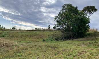 Imagem: Chacara terra 1,5 alqueire mucambinho