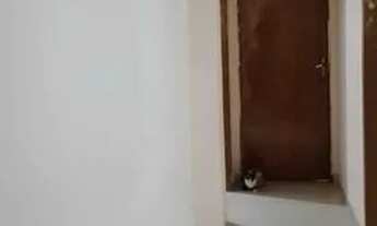 Imagem 4: Casa Cidade Continental