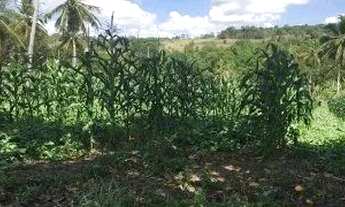 Imagem 3: Vendo ótimo sítio em Alhandra !!!