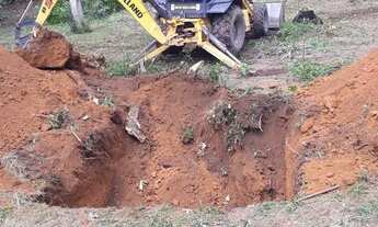 Imagem: Terreno rural ideal pra criação, ramal