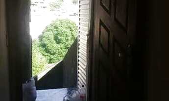 Imagem 4: Kitnet Casa com 1 dormitório