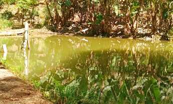 Imagem 6: Vendo ou troco Sitio em domingos martins