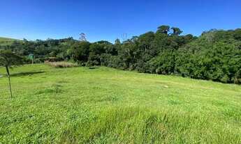 Imagem 3: Vendo terreno vista panorâmica