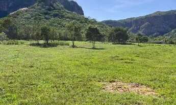 Imagem 5: Loteamento rural