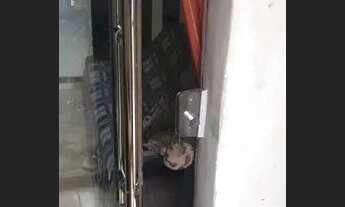 Imagem 4: Casa cruz das almas bahia