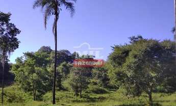 Imagem: Fazenda de Cultura em Uruaçu-GO. Área