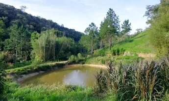 Imagem 6: Vendo meu terreno aceito proposta lote de 1000m²