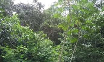 Imagem 2: Fazenda em Wenceslau Guimarães