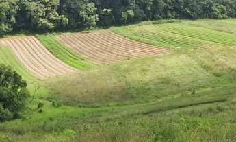 Imagem 2: Lote/Terreno para venda tem 500 metros quadrados em - Cotia - SP