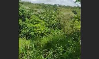 Imagem 5: Sítio Chácara com venda por R$60.000