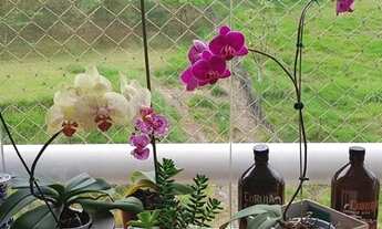 Imagem 2: Apartamento para Venda em Santana de Parnaíba, Tamboré, 2 dormitórios, 1 suíte, 3 banheiro