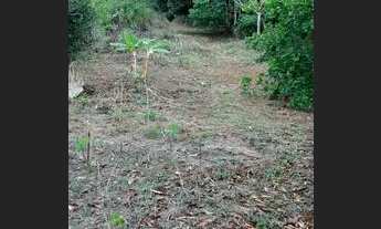 Imagem 5: Chácara/Sítio a Venda