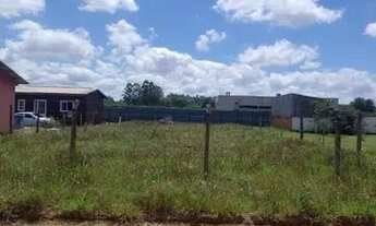 Imagem 3: Lindo terreno a 900 metros da rs040