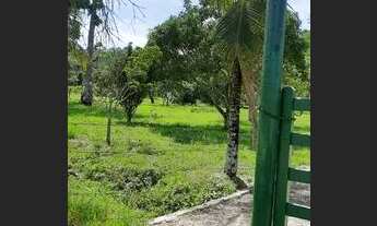 Imagem 4: Chácara/Sítio a Venda