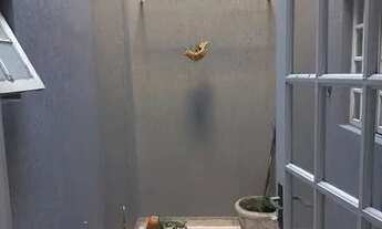 Imagem 4: Cód.: 10364 - Sobrado de 252m² , com 06 vagas de garagem, no bairro Camilopolis, Santo And